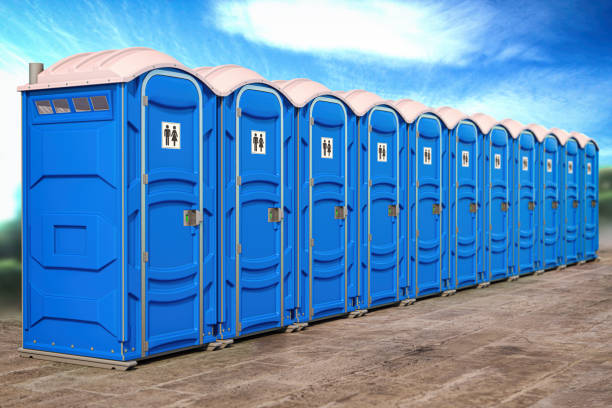 Best Portable Toilets for Parks and Recreation Areas  in Princevle, IL